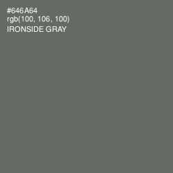 #646A64 - Ironside Gray Color Image